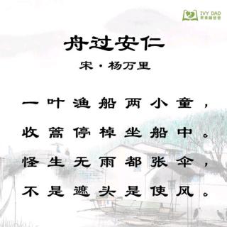 《舟过安仁》宋.杨万里