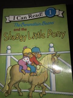 shaggy little pony