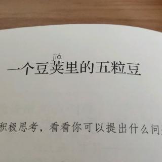 一个豆荚里的五粒豆