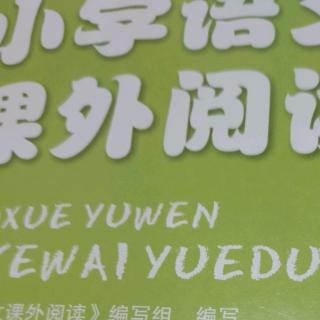 9月8日《小学语文课外阅读》