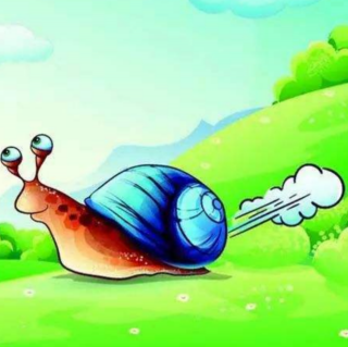 小蜗牛找菜叶