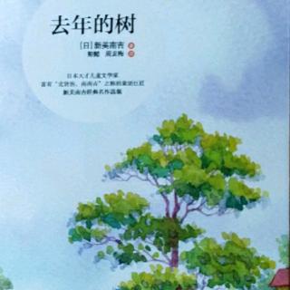 《去年的树》58-81页