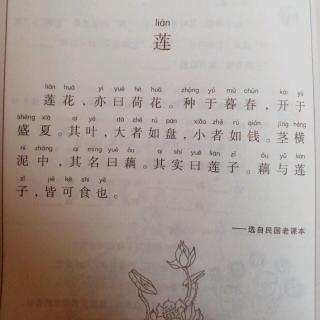 小古文16《莲》