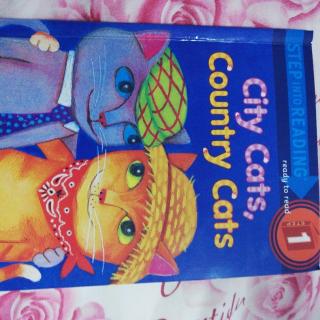 补9/7   City  cats  country  cats day1 CoCol6