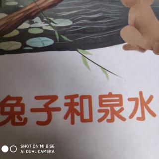 兔子和泉水