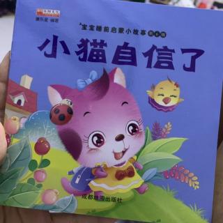 （3）《小猫自信了》、《两只小狮子》