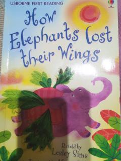 How elephants Lost their wings