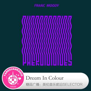  糖蒜爱音乐之The Selector：Dream In Colour 
