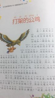 (5)大一班王玮淇《打架的公鸡》