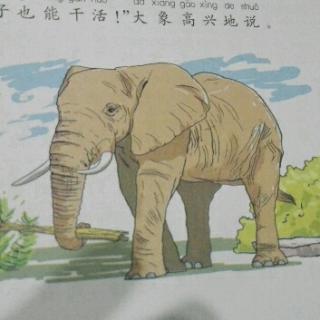 大象🐘他的