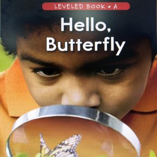 Hello, Butterfly