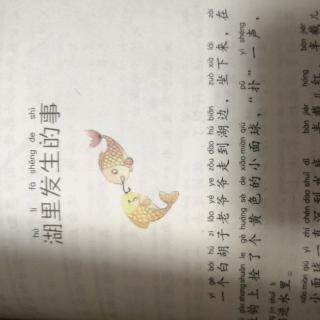 中国儿童文学名家名作：《湖里发生的事》