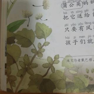 植物妈妈有办法