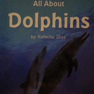 dolphins