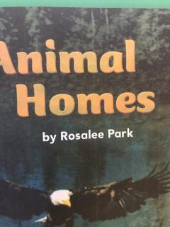 Animal homes