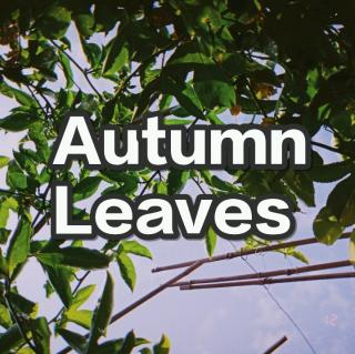 Autumn Leaves-BTS[Remix]