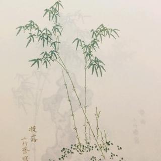 雪地芭蕉