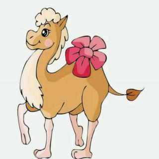 《爱美的小骆驼》 ——兰州口才宝金运校区