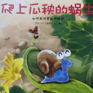 阳光宝宝幼儿园第277期《爬上瓜秧的蜗牛🐌》