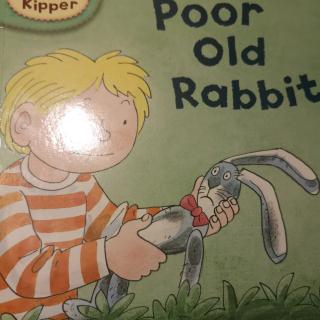 poor old rabbit