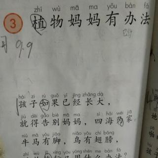 3.植物妈妈有办法