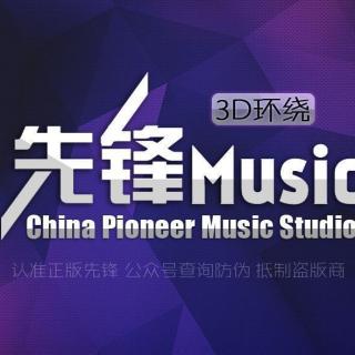 贺一航 - 听说当初你找过我 3D环绕(先锋Music)