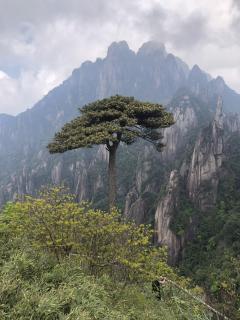 《道德经》第三十九章