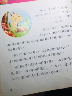 儿子讲故事【小猴子分桃】