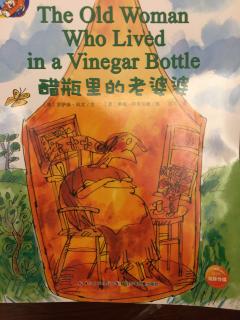 The Old  Woman Who Lived in a VinegarBottle