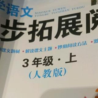 同步拓展阅读17-29页