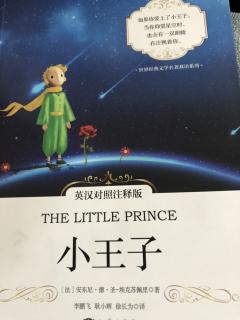 The little prince第二章第一页