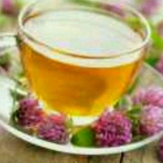 千字文诵读第234天