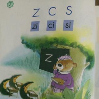 拼音7  zcs