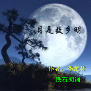 《月是故乡明》作者：季羡林   朗诵：铁 石