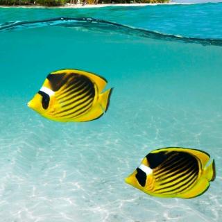 阿米巴经营61-64