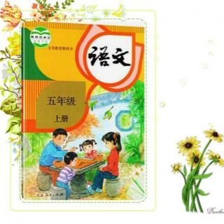 小学语文五年级上册第3课桂花雨 