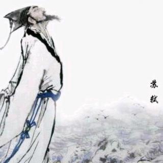 《苏东坡传》～抗暴诗