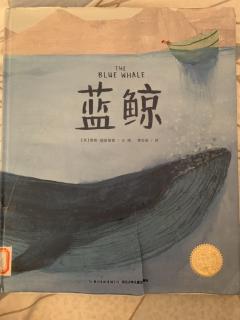 蓝鲸🐳