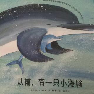 故事《从前，有一只小海豚》