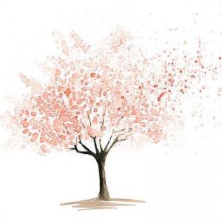 《一棵开花的树》-席慕蓉-天涯孤客00914