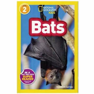 Sep.15～Hazel 10/Bats