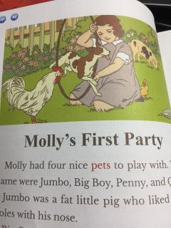 美国小学英语_Molly's first party