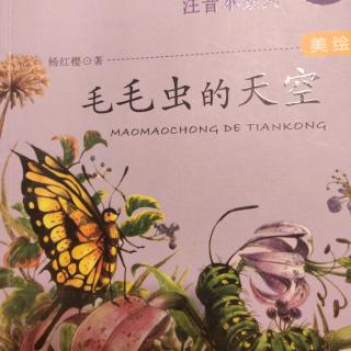 毛毛虫的天空1－37页