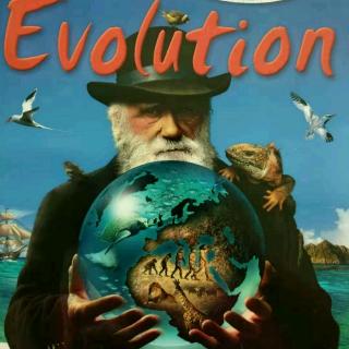 Evolution (4)