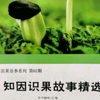 《知因识果故事精选》故事167：闺蜜的最后时光