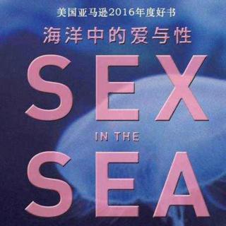 听书《海洋中的爱与性》