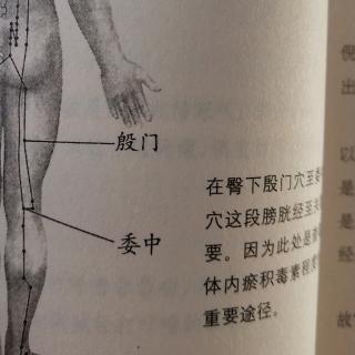 15求医不如求己（膀胱经排毒）中里巴人