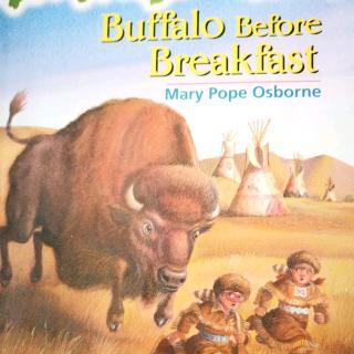 Buffalo Before Breakfast(6)
