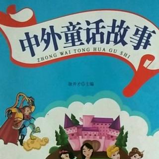 阅读📖