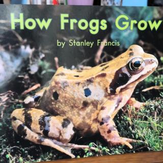 How frogs grow